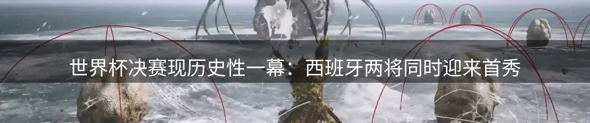 新闻资讯